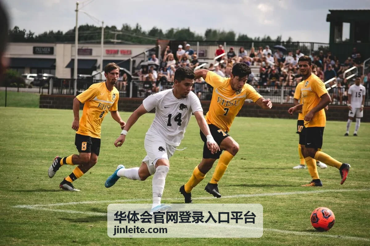 华体会官网登录入口平台 密码找回与重置路径